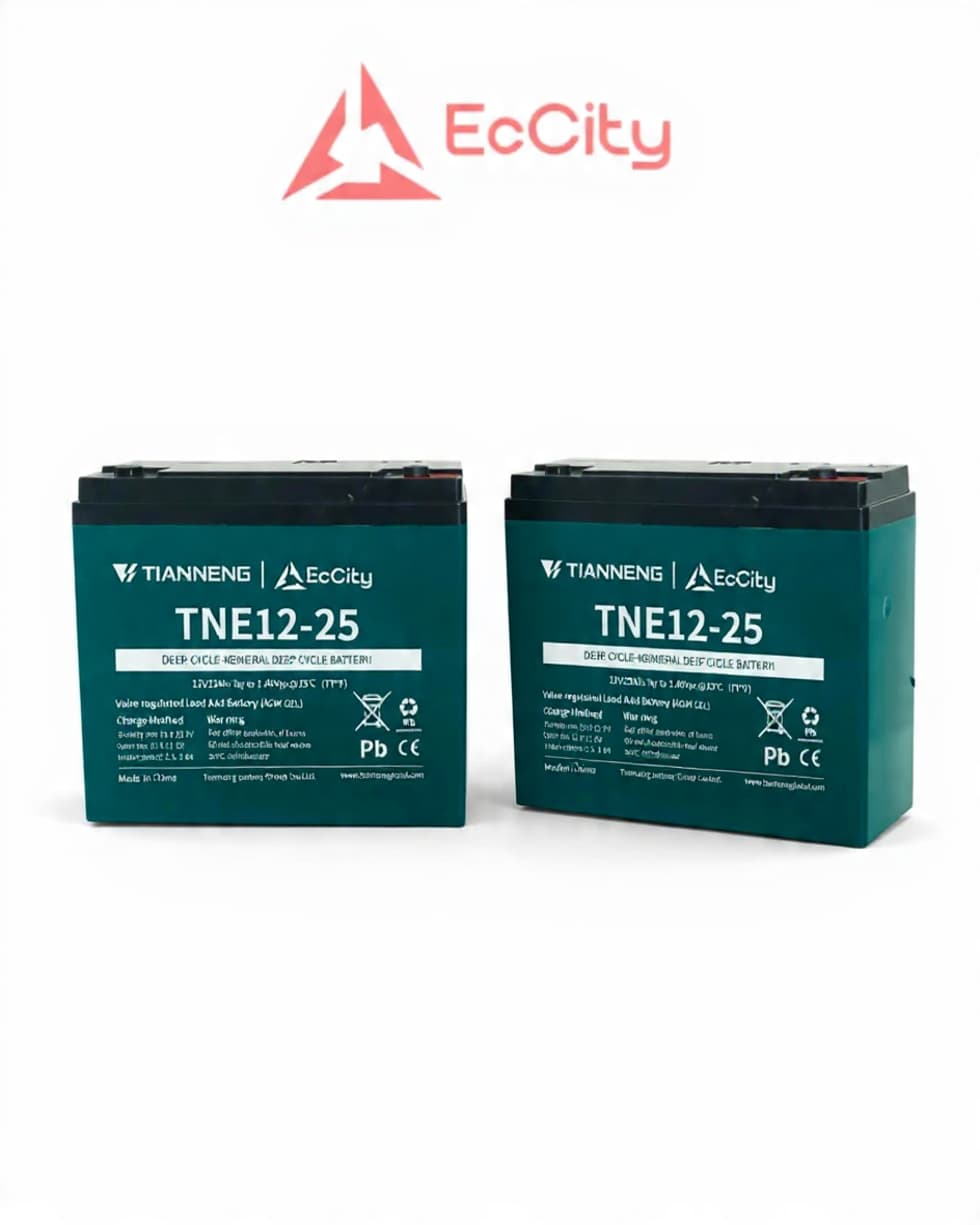 Batería 12V 25Ah